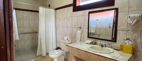 Un baño con ducha, inodoro, lavabo y espejo.