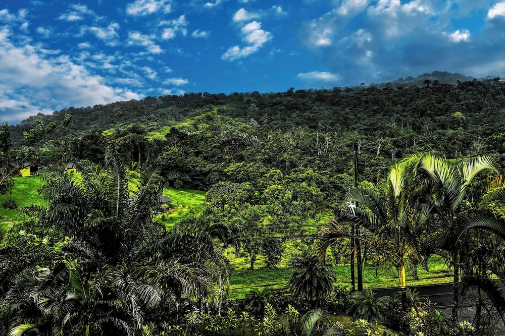 Arenal Roca Lodge