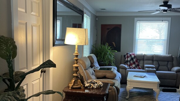 A living room with a wooden floor, two sofas, a coffee table, a lamp, and a large plant.