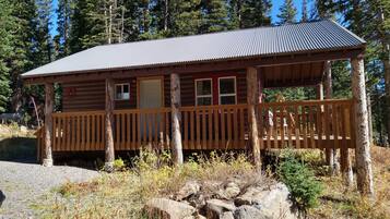 A rustic cabin with a wooden deck, a metal roof, and a door.