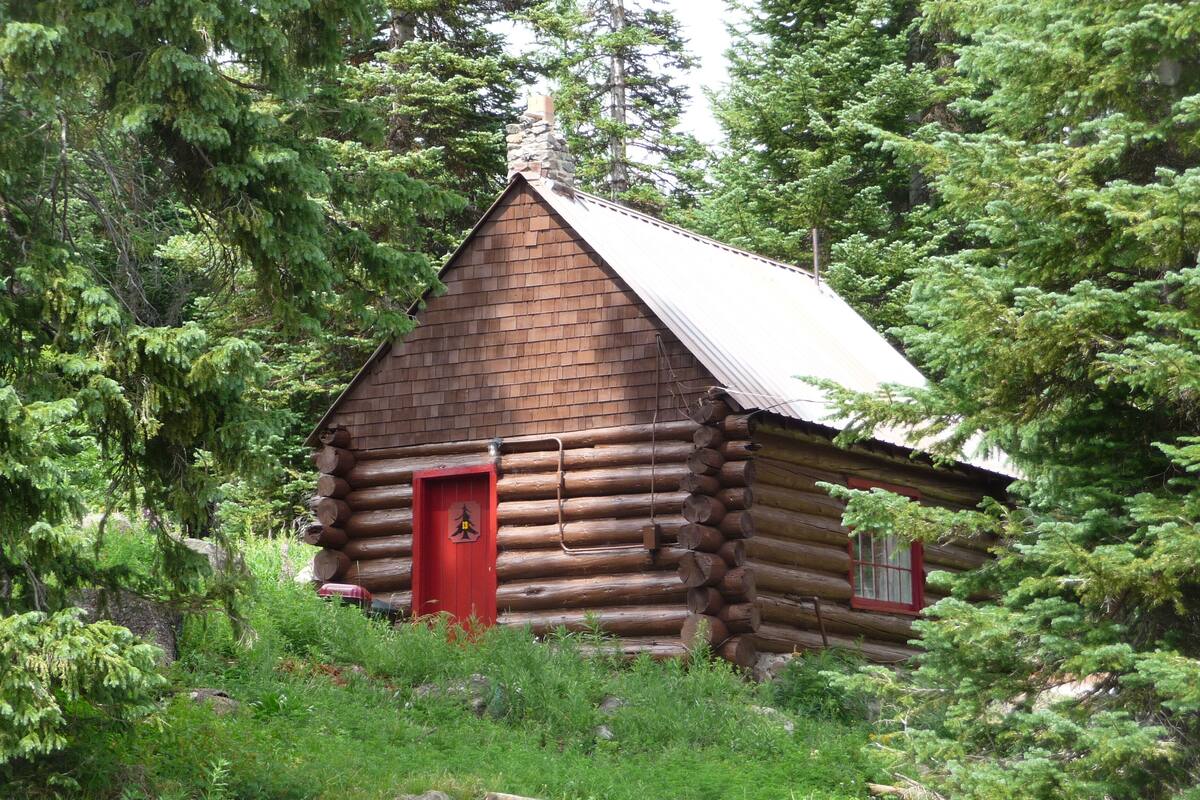 A log cabin with a red door, surrounded by dense forest.