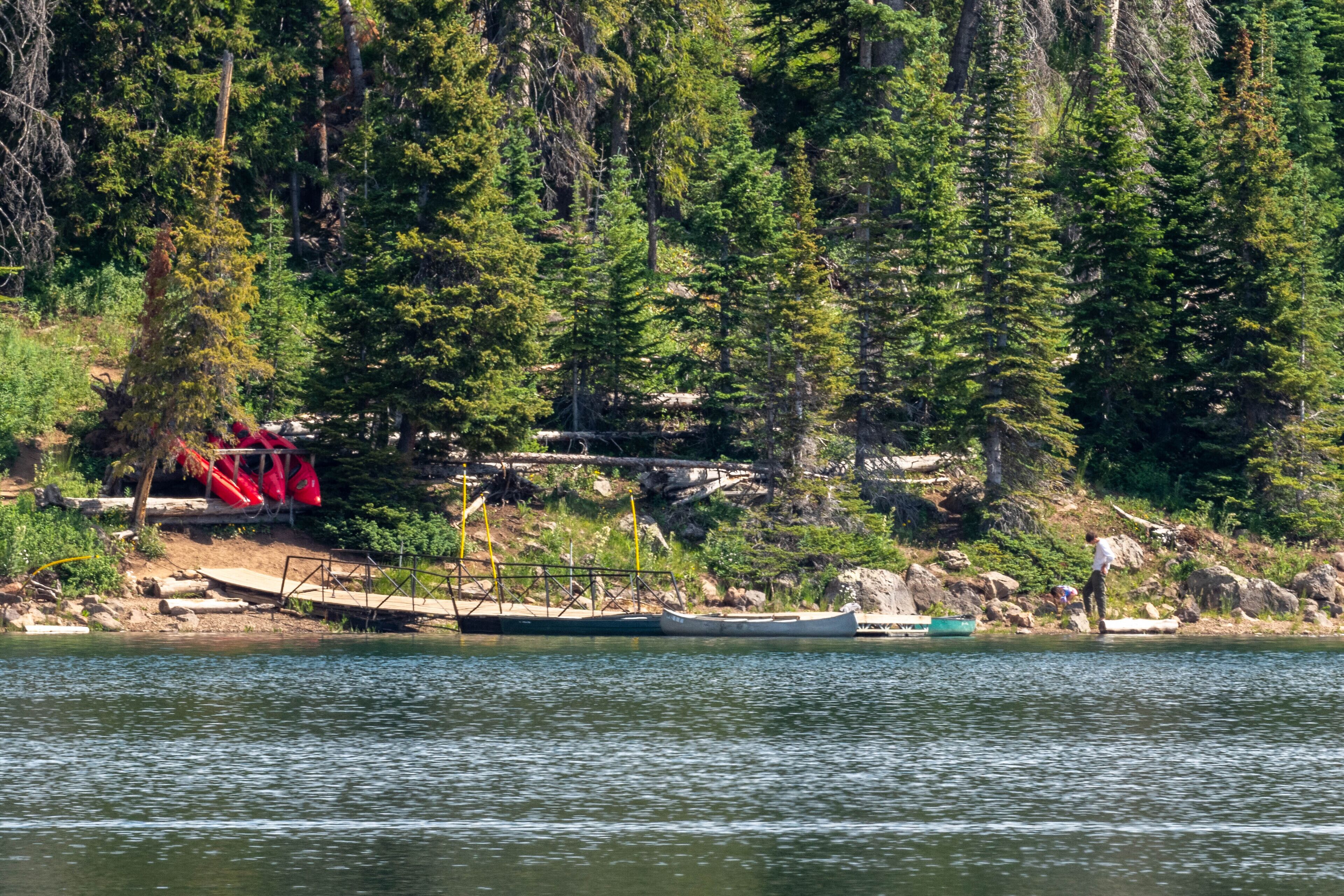 A dock with boats, a red structure, and a forested shoreline.