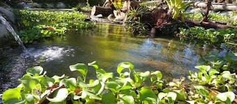 Contemporary Tropical Living on the Osa Peninsula.