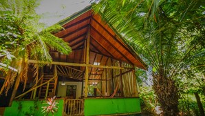 A wooden house with a green exterior, surrounded by lush tropical vegetation. - Contemporary Villa in a Four‑Acre Tropical Urban Park, Osa Peninsula (Puerto Jiménez)