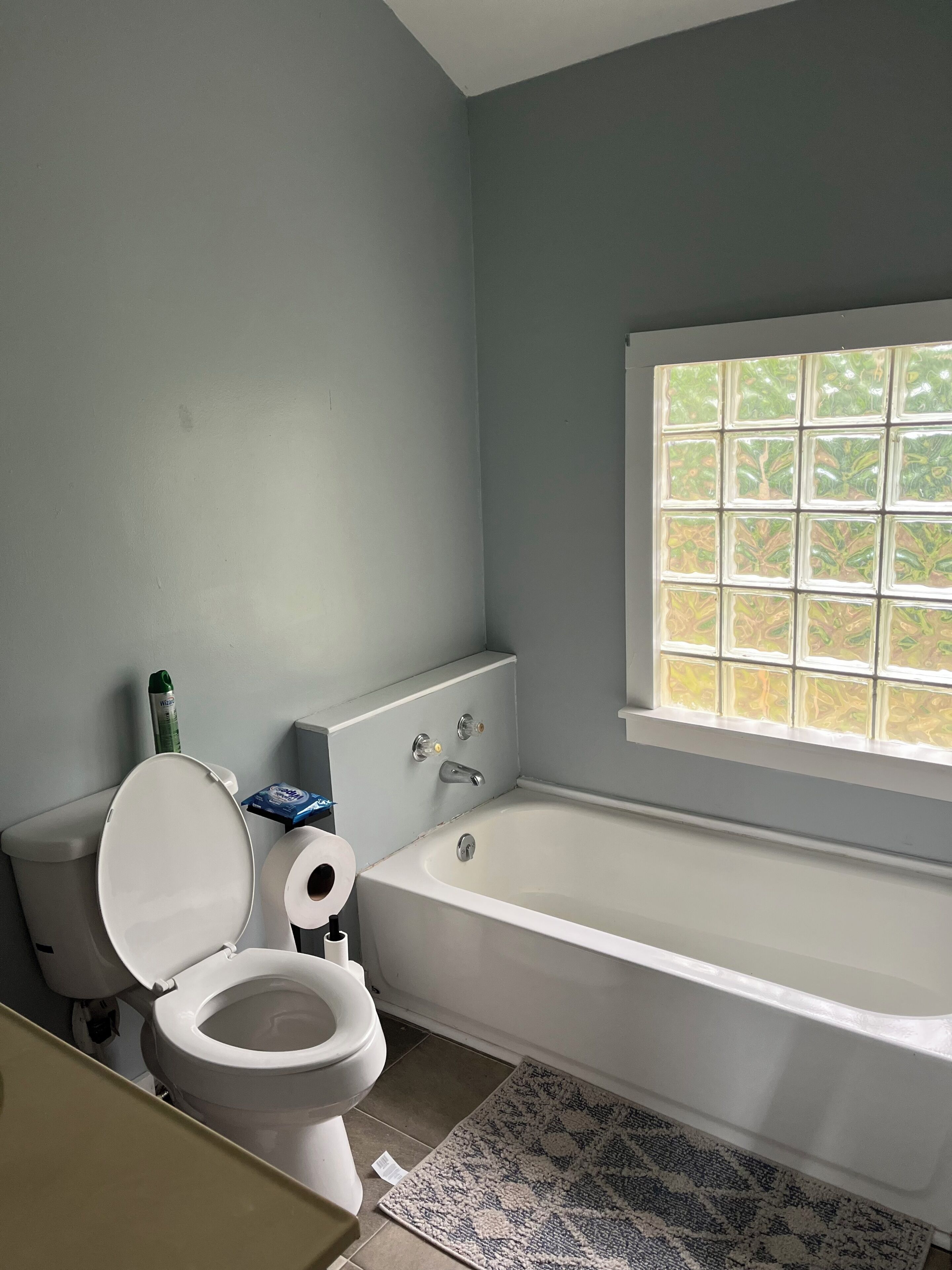 Badewanne, Haartrockner, Handtücher, Seife