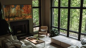 Smart TV, fireplace, books, stereo