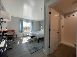 1 chambre, chambres insonorisées, fer et planche à repasser