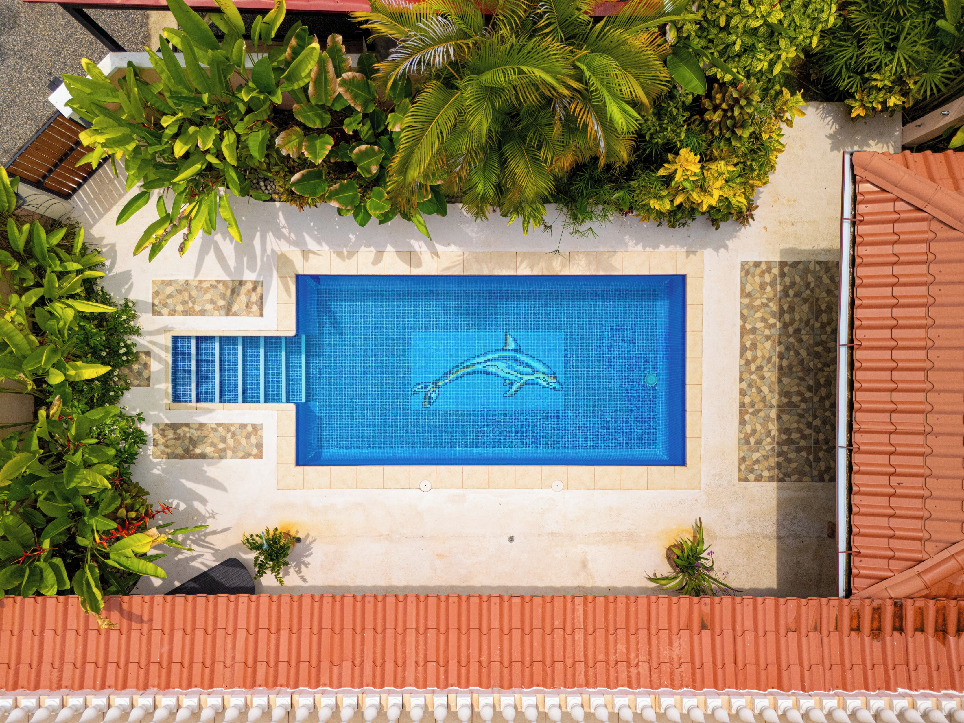 Vista aèria d'una piscina amb un mosaic de dofí, envoltada de vegetació exuberant i un teulat llostrad.