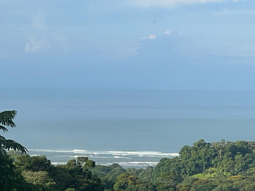 海滩