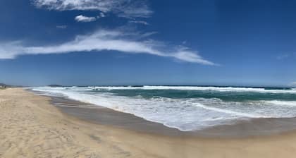 Loft's Jardim's - Campeche - Floripa
