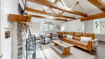 Televisión, chimenea, reproductor de DVD y libros