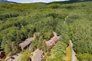 Un quartier résidentiel où les maisons sont entourées d’une forêt dense, sous un ciel dégagé, et le long d’une route sinueuse.
