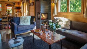 Télévision, cheminée, chaßne hi-fi