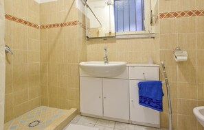 Shower, hair dryer