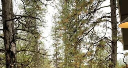 Discover the outdoors, 1st Apple Hill exit, Tahoe