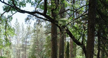 Gorgeous views, 1st Apple hill exit, Family Fun