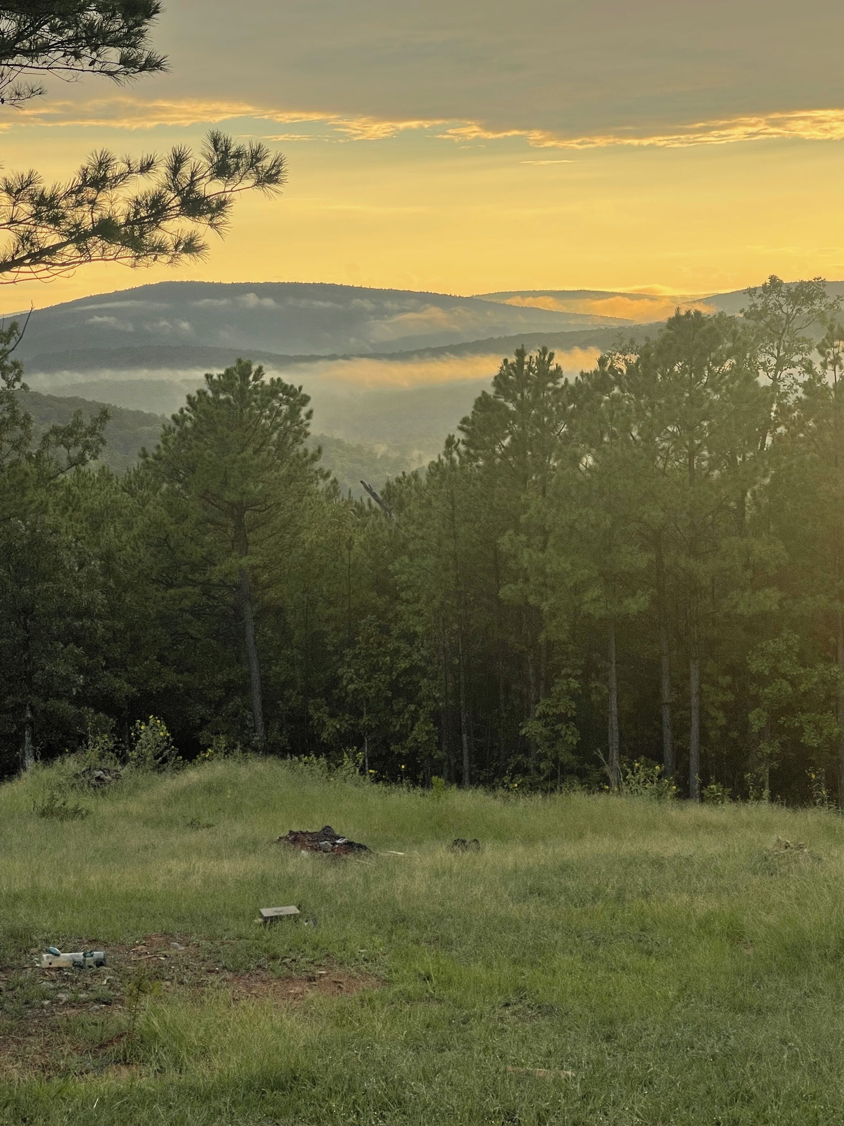 Eine natürliche Landschaft mit einer grasbewachsenen Vordergrundebene, Bäumen und einer entfernten Hügellandschaft unter einem Sonnenuntergangshimmel.