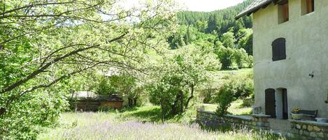 Áreas de la propiedad