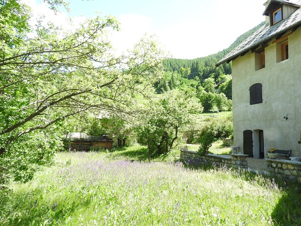 المنطقة المحيطة بالمنشأة