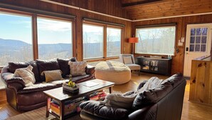 Smart TV, chimenea, libros