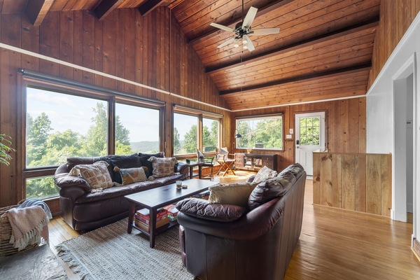 Una Smart TV, una chimenea, libros
