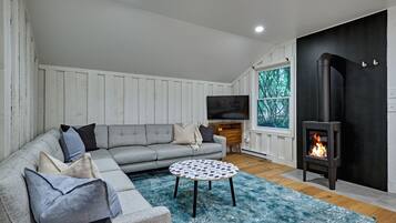 智能电视、壁炉