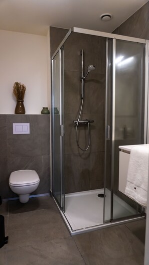 Shower, hair dryer, bidet, towels