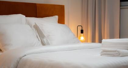 LUXURY LUMINOUS APARTMENT BRUSSELS (Near Tour & Taxis â 2 Bedroom)