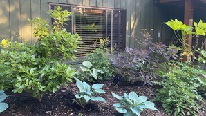 A garden with various plants and a wooden fence.