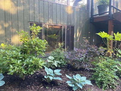 Garden suite at Casa Helena pet friendly<br>Lisence#00000705<br>