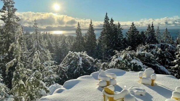 A snowy landscape with a view of a lake and forest.