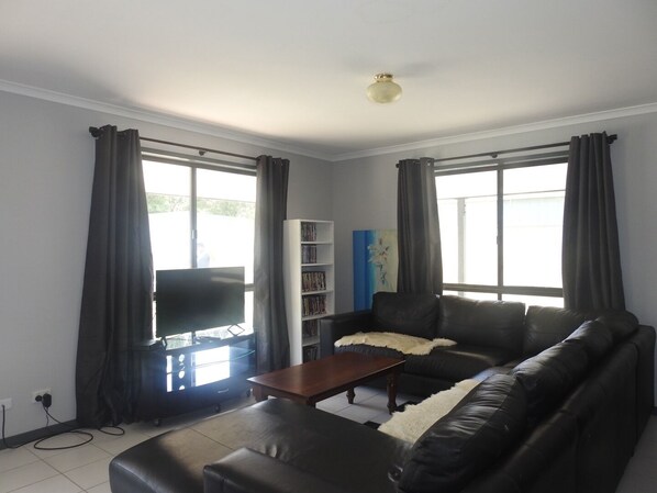 TV connectée, cheminée, lecteur de DVD, livres