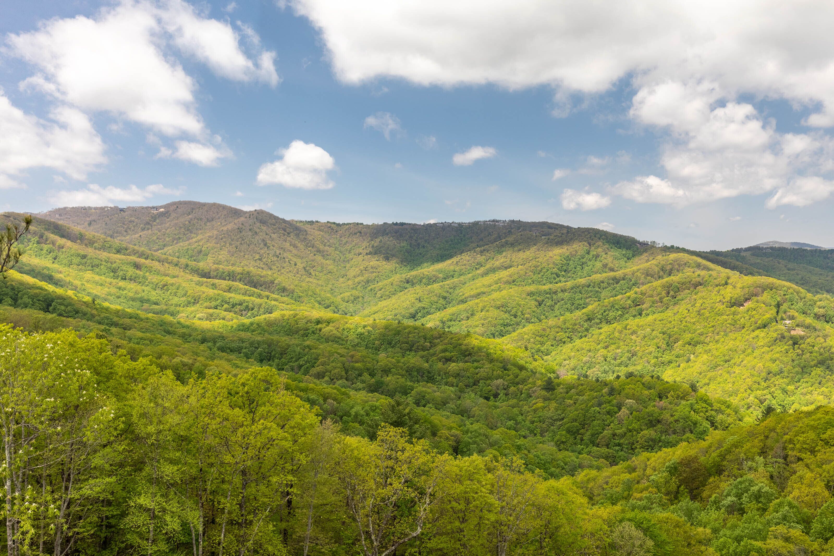 Un paysage montagneux, avec de vastes forêts verdoyantes et un ciel dégagé.