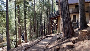 A wooden staircase leading up a forested slope, surrounded by tall trees and a building with a balcony.