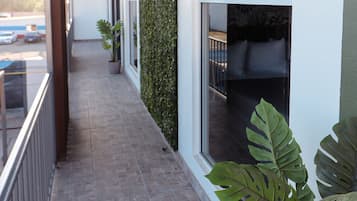 Deluxe Studio Suite