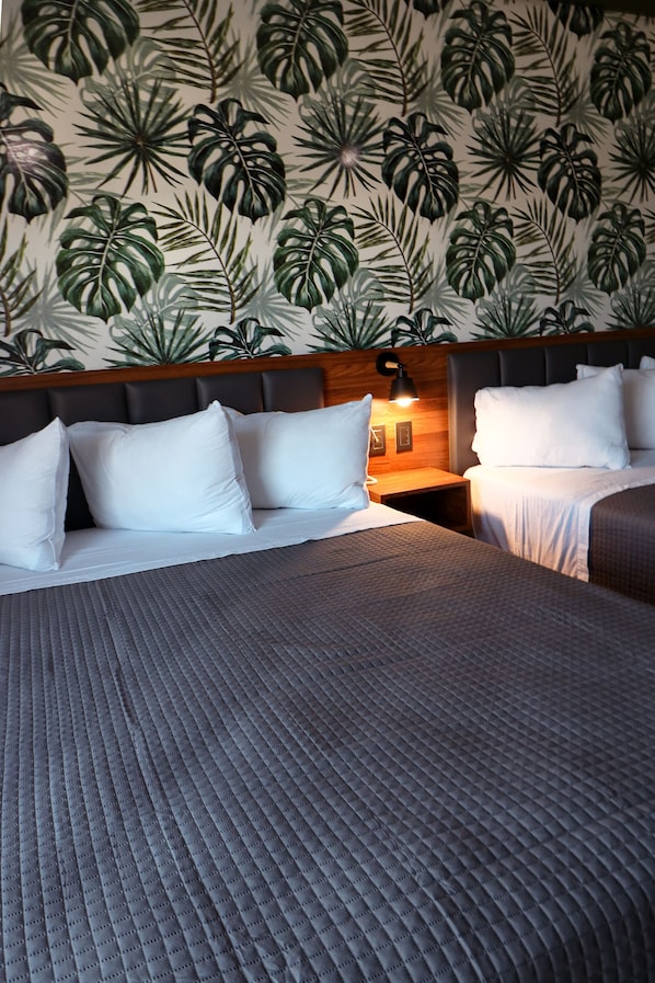 Deluxe Studio Suite