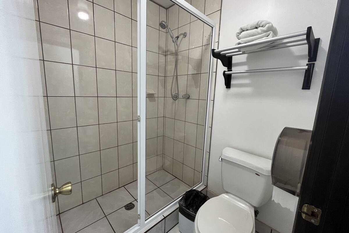 Un baño con ducha de vidrio, inodoro, cubo de basura y perchero para toallas.