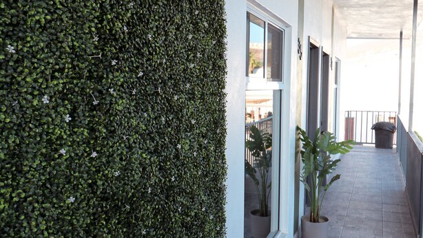 Un couloir abrité, bordé d’un côté par une haie verte, agrémenté de plantes en pot et doté d’un sol carrelé.