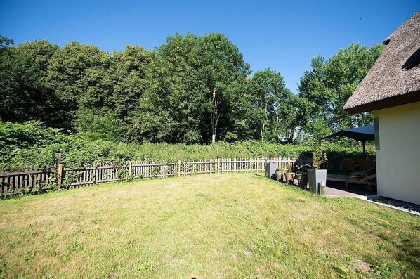 Unclassified image, 1 of 11, button