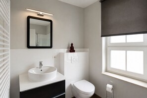 Shower, hair dryer