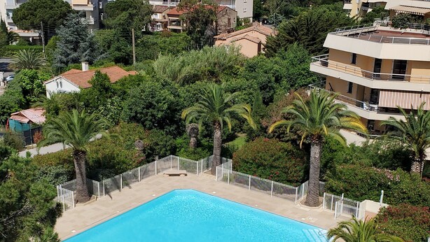 Una piscina rectangular rodeada de una valla blanca, con palmeras y abundante vegetación al fondo.