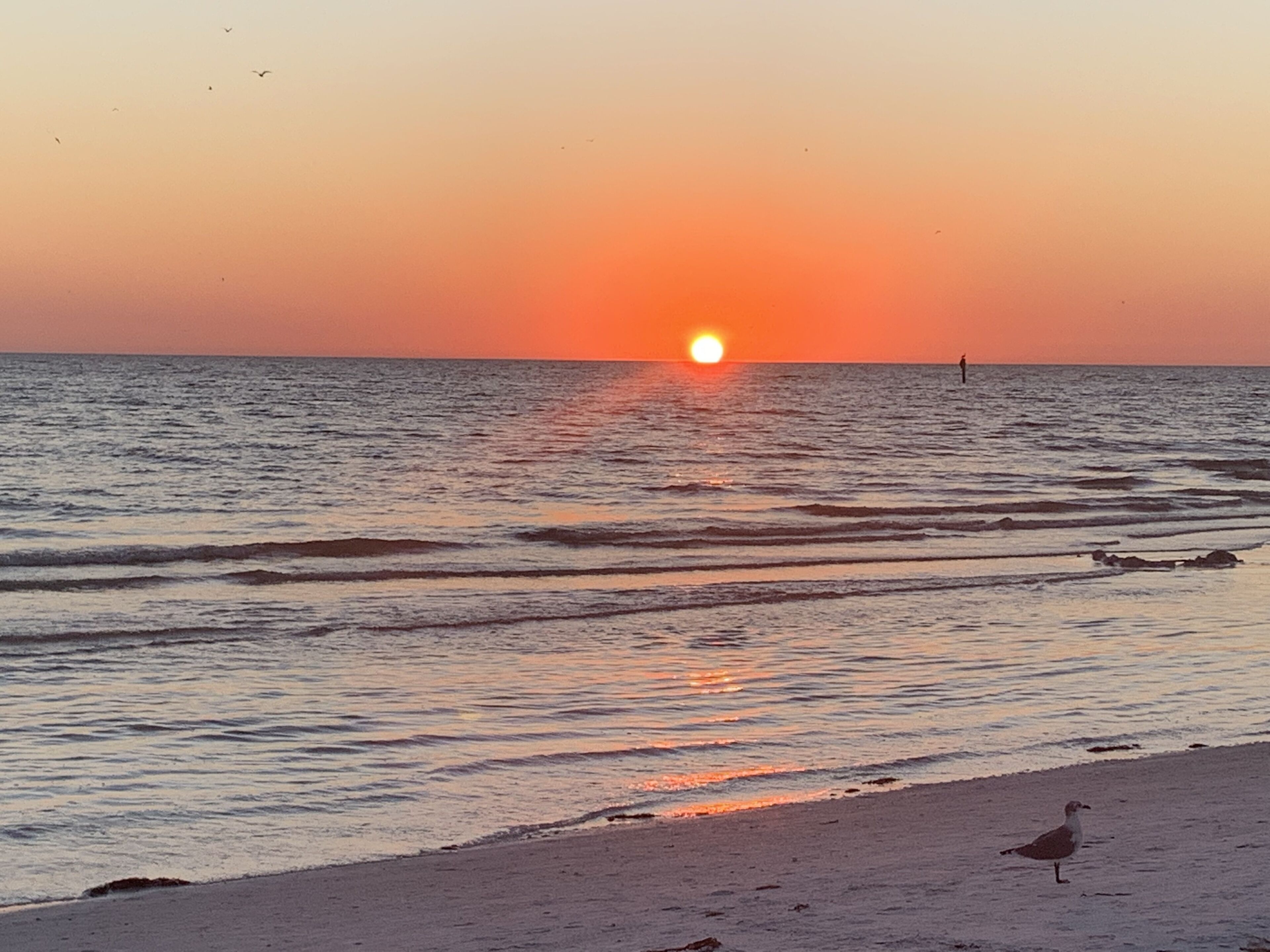 Beach nearby, sun-loungers, beach towels
