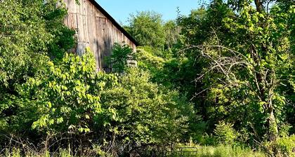 Luxury Hideaway on Serene and Private Acreage