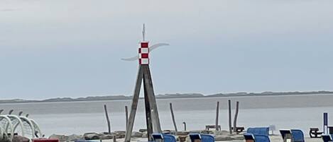 Lettini da mare