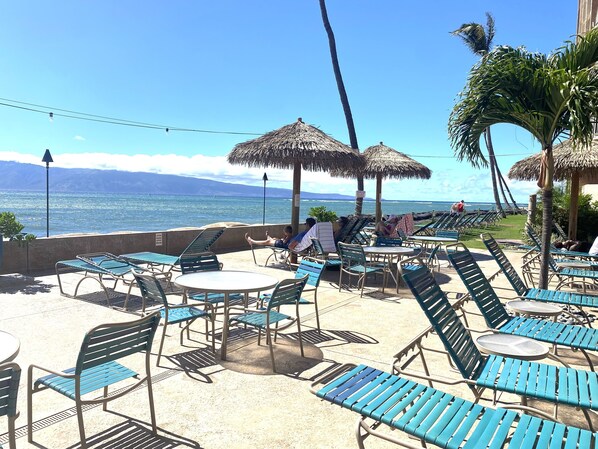 Outdoor dining - Beautifully 2-BR Oceanfront Condo with A/C (Lahaina)