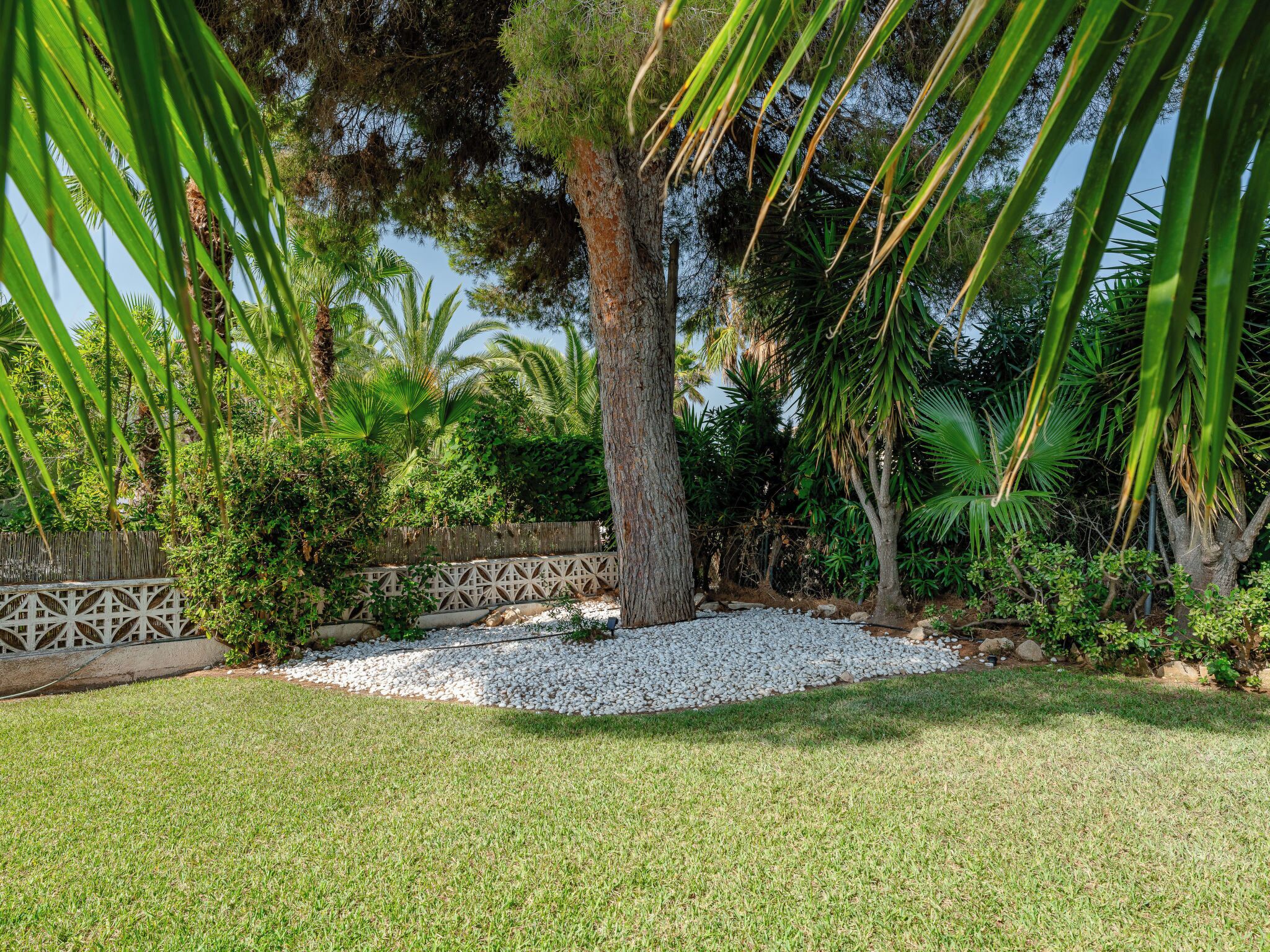 Un jardin aménagé avec un arbre central, entouré de diverses plantes tropicales et agrémenté d’une clôture décorative.