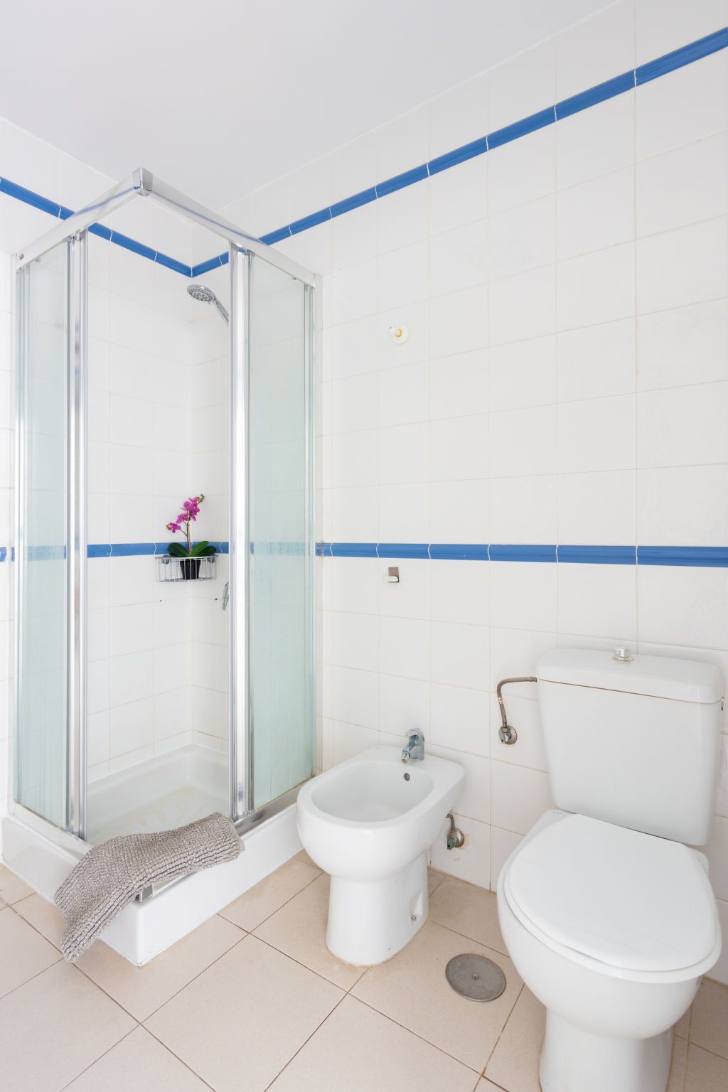 A bathroom with a glass-enclosed shower, a bidet, and a toilet.