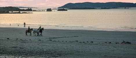 Beach nearby, fishing
