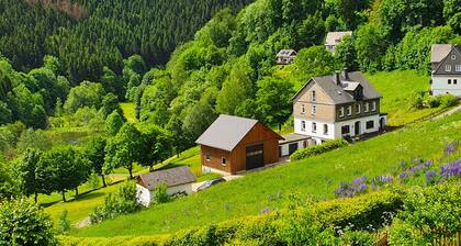 Holiday home (350m², 16 people) with a large outdoor area + sauna/tablefootball.