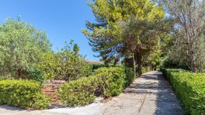 Un chemin pavé, bordé d’une végétation luxuriante et d’arbres, qui mène à un bâtiment situé au loin.